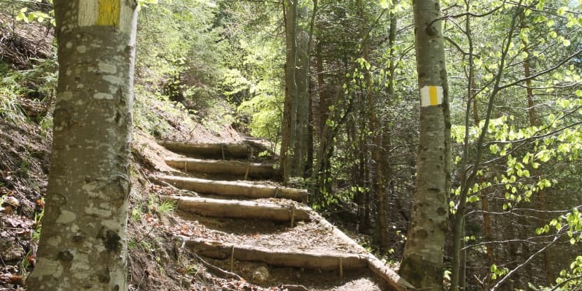 Cele mai frumoase trasee de drumeție din zona Poiana Brașov